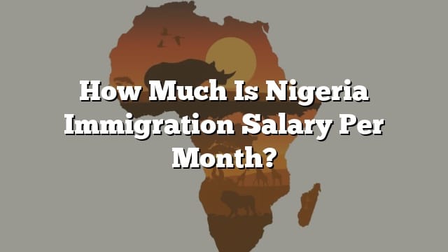 how-much-is-nigeria-immigration-salary-per-month