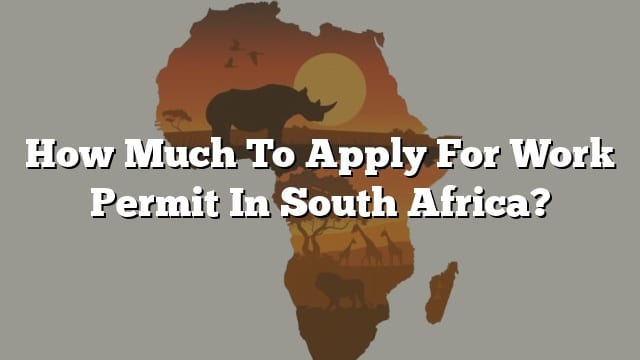 How Much To Apply For Work Permit In South Africa 8130