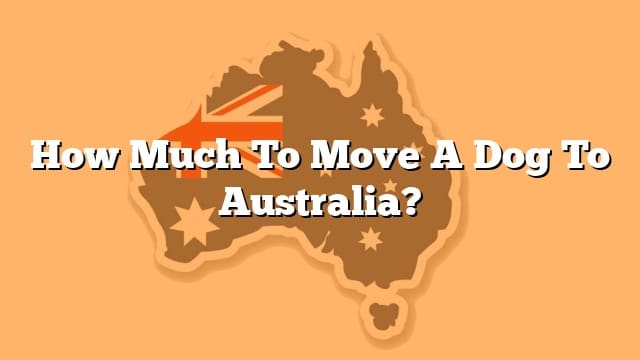 how-much-to-move-a-dog-to-australia