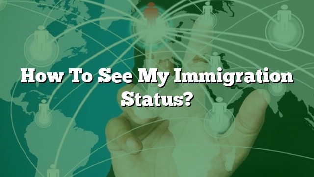 How To See My Immigration Status?