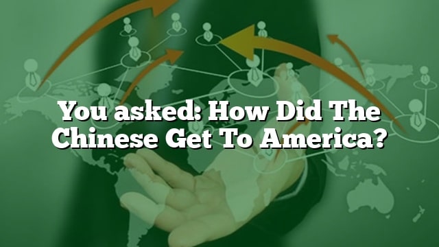 you-asked-how-did-the-chinese-get-to-america